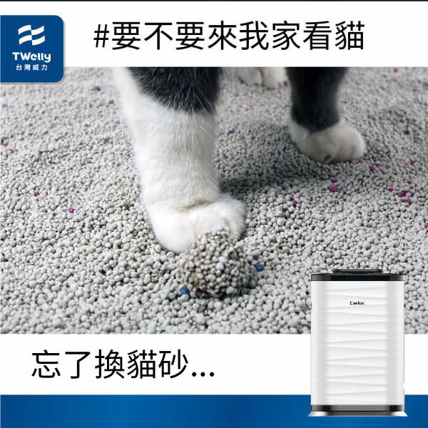 IG 广告用组图包